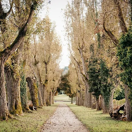 Lamiacasa Large Loft Close Area שטוטגרט